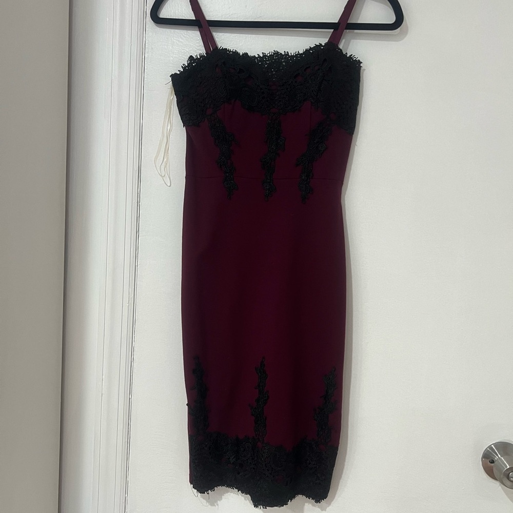 Fashion Nova Burgundy Dress with Black Accents